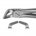 Surgical/Extraction