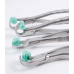 Surgical/Extraction