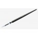 Surgical/Extraction