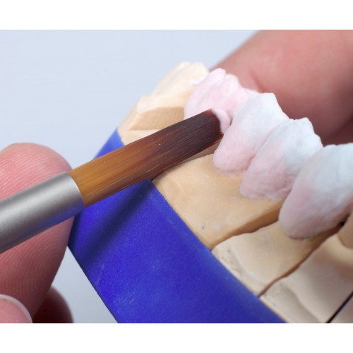 Dental Instruments