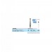 Dental Instruments