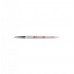 Dental Instruments