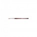 Dental Instruments