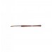 Dental Instruments