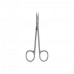 Surgical/Extraction