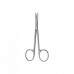 Surgical/Extraction