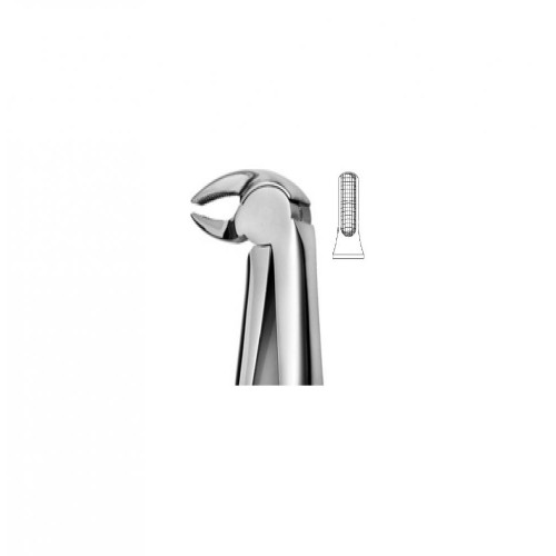 Child Forceps for Lower Canines and Bicuspids, Fig.13