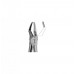 Dental Instruments