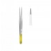 Surgical/Extraction
