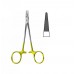 Surgical/Extraction
