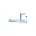 Dental Instruments