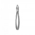 Dental Instruments