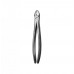Dental Instruments