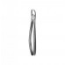 Dental Instruments