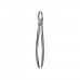 Dental Instruments