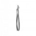 Dental Instruments