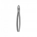 Surgical/Extraction
