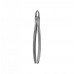 Dental Instruments