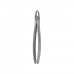 Surgical/Extraction