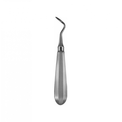 FLOHR, Right Lower Root Elevator (150mm)