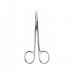 Surgical/Extraction