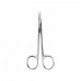 Surgical/Extraction