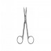 Surgical/Extraction