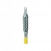 Surgical/Extraction