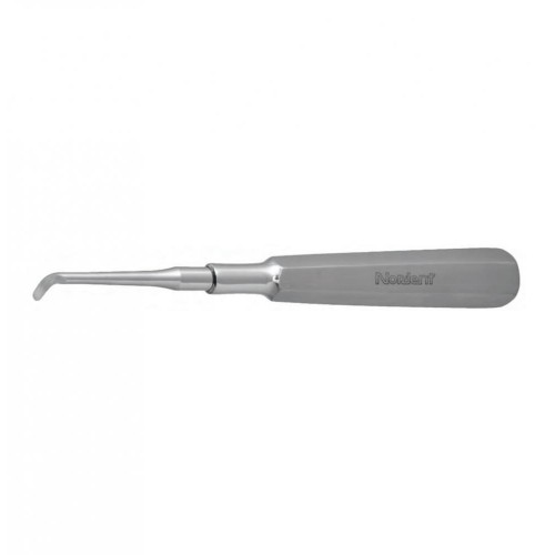 Root Elevator, Warwick James (Right)