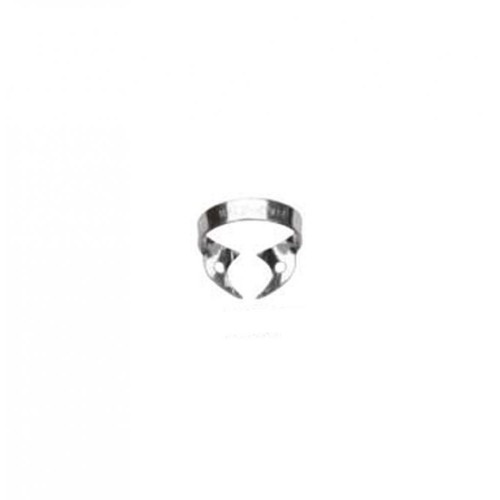 Clamp Sz W14 Wingless Glossy Molar Erupted
