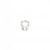 Clamp Sz W56 Wingless Glossy Molar universal
