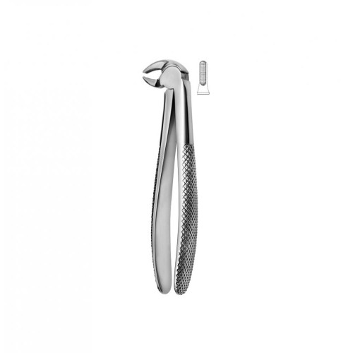 Lower Canines and Bicuspid Forceps, Fig.13, Premium   *DS